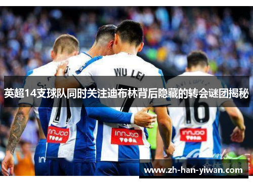 英超14支球队同时关注迪布林背后隐藏的转会谜团揭秘