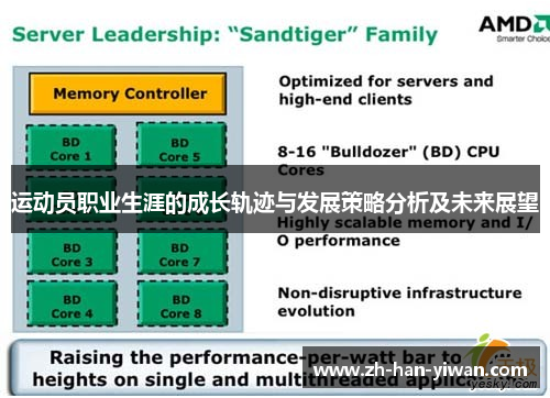 运动员职业生涯的成长轨迹与发展策略分析及未来展望